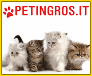 Prodotti per gatti su Petingros