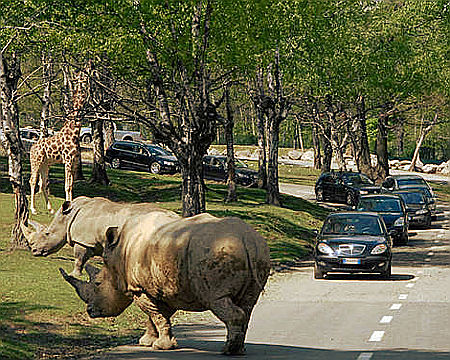 Visita al Parco Natura Viva