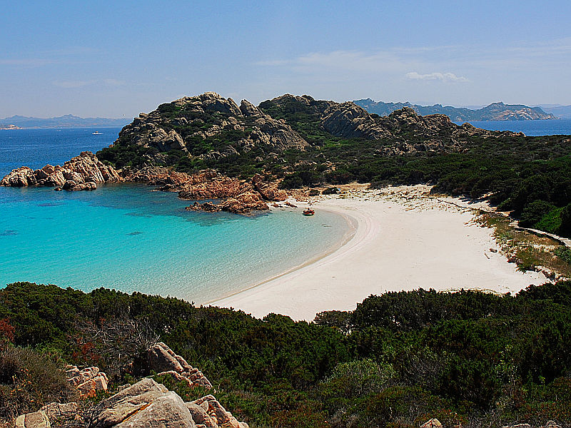 Sardegna: un paradiso per gli animali