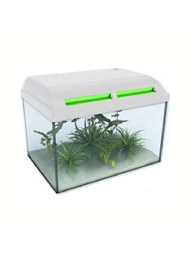 03110038_askoll_ambiente_new