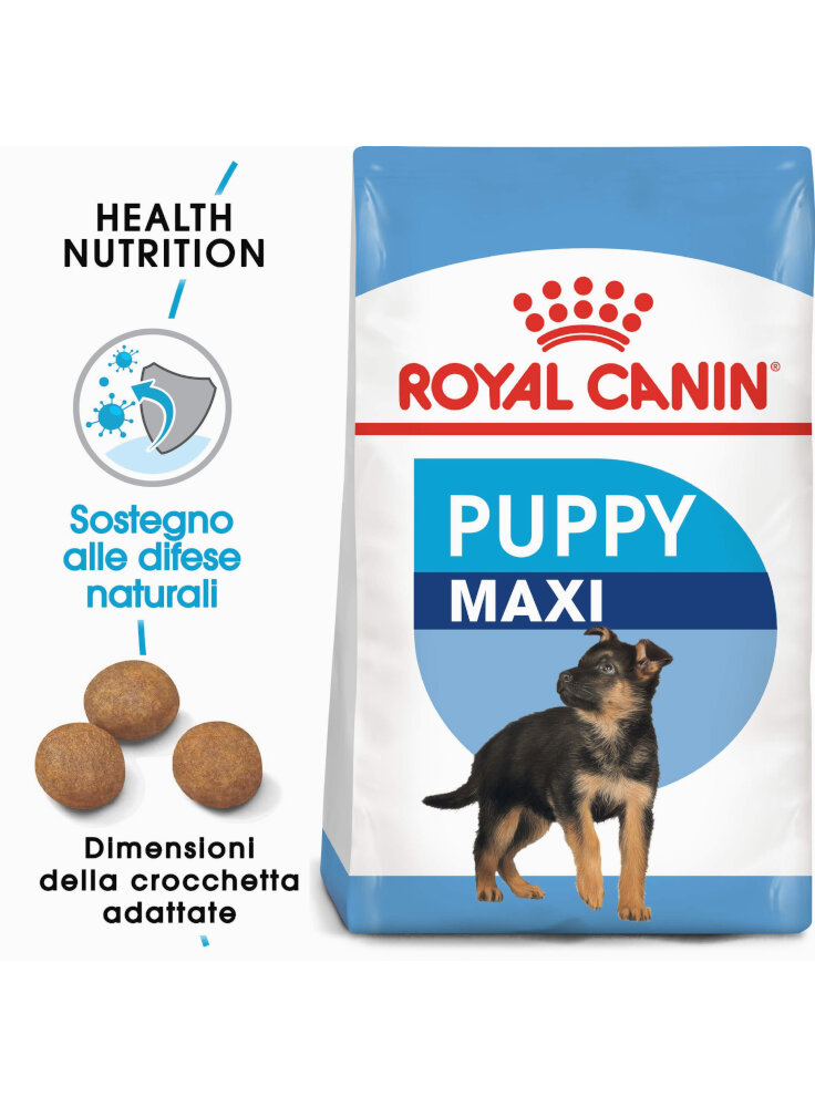 Maxi Puppy cane Royal Canin