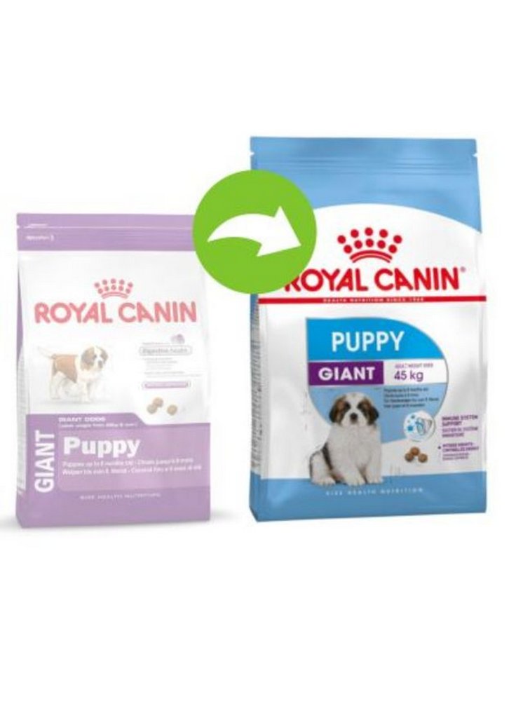 11144622_12122202_rc_giant_puppy