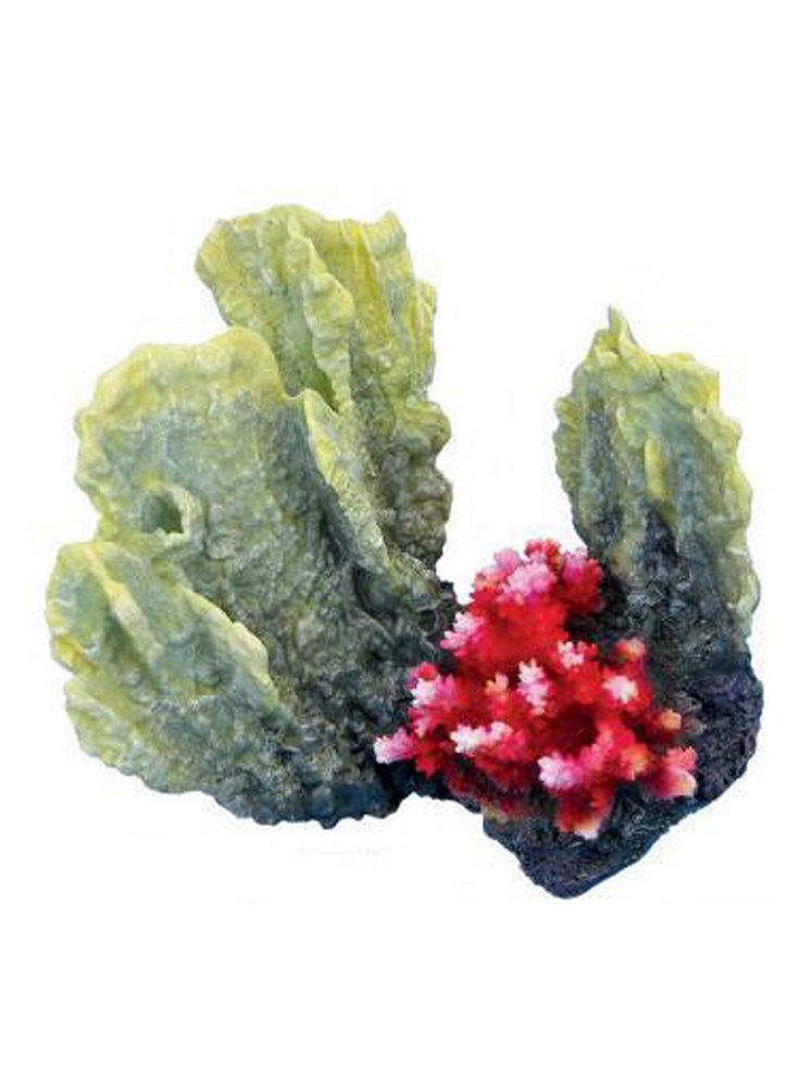 Haquoss decorazione finto corallo montipora+acropora