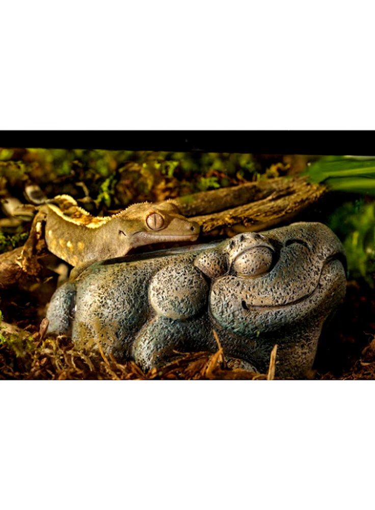 Exo Terra Decorazione per terrario Aztec Frog Water Dish