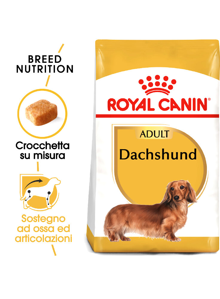 Bassotti DACHSHUND Adult Royal Canin