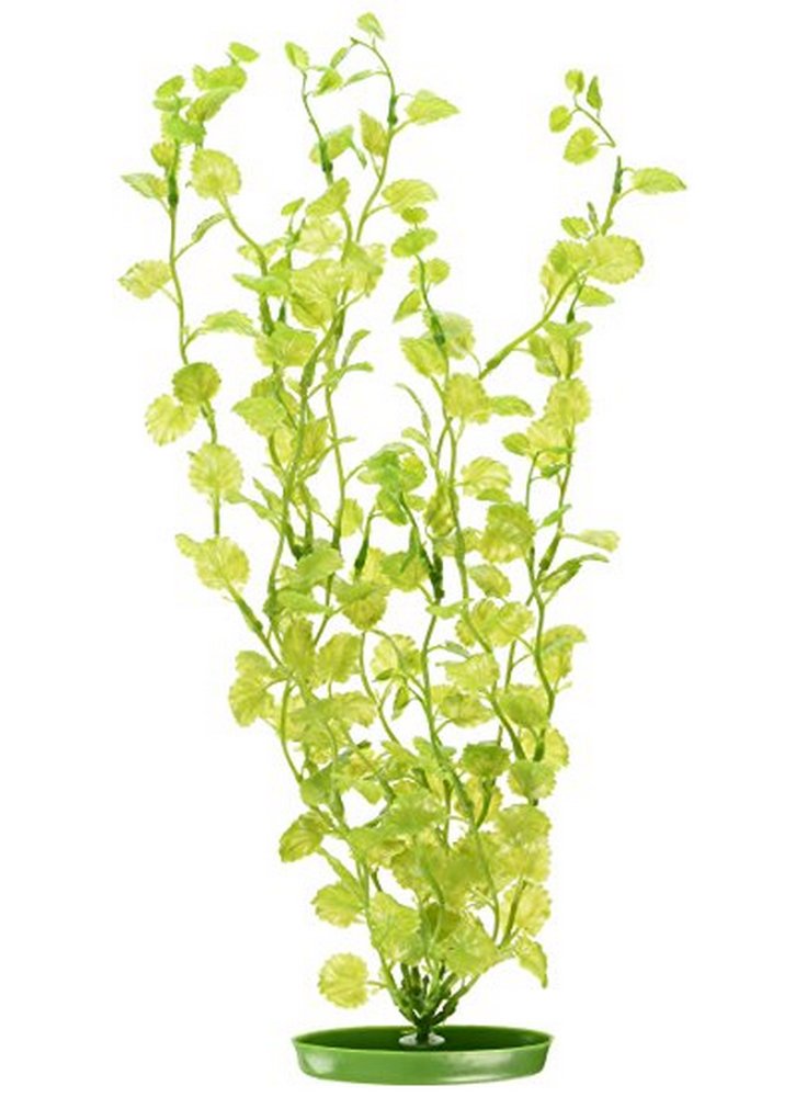 Pianta finta Cardamine per acquari (37,5 cm)