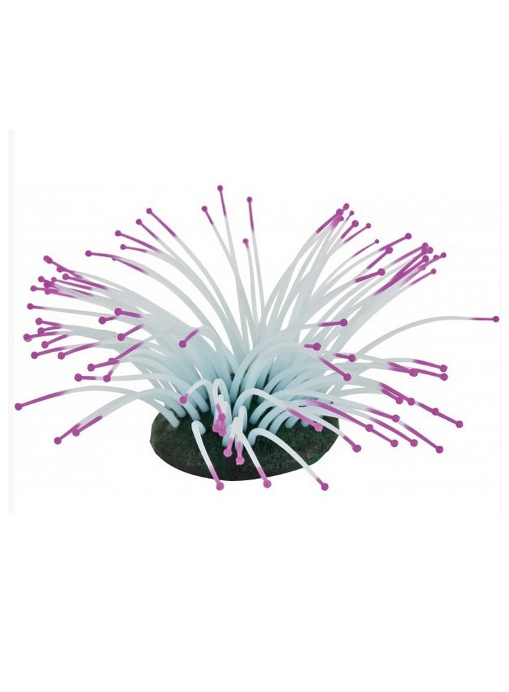 24091808_anemonee