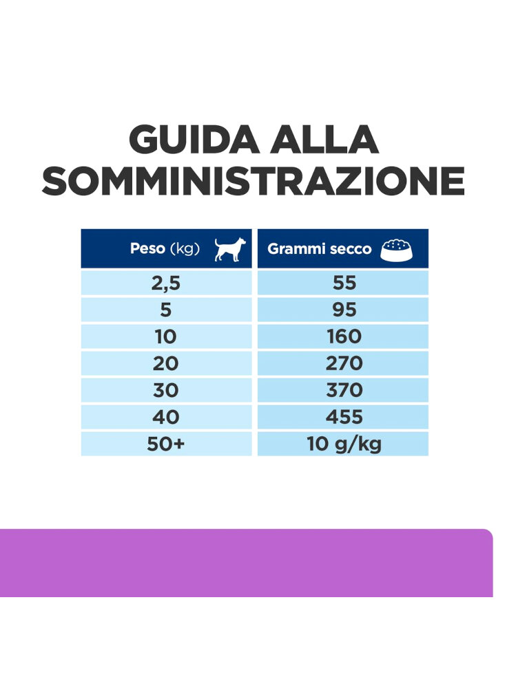 605998_Feeding%20Guide