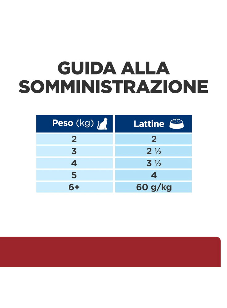 606407_Feeding%20Guide