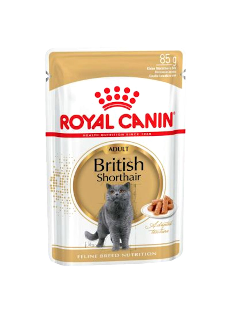British Shorthair buste Royal Canin 12x85 gr