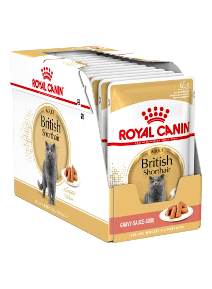 72437_royalcanin_britishshorthair_wet_pack_hs_01_6