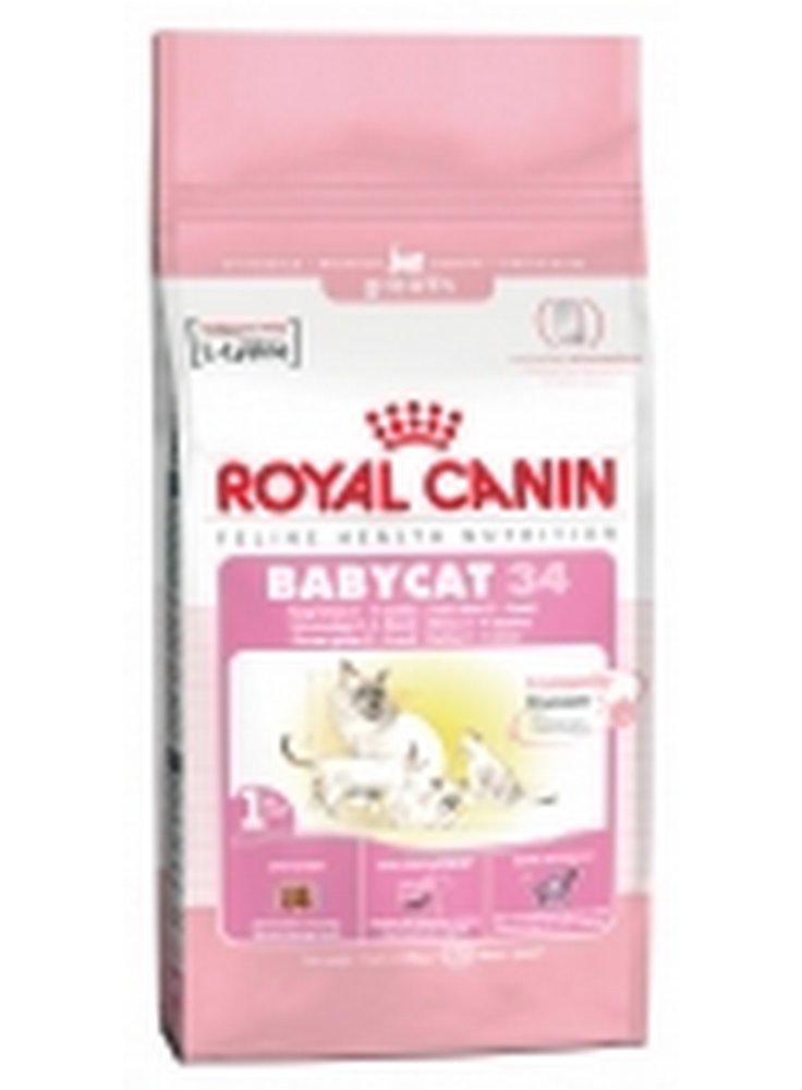 Babycat Royal Canin