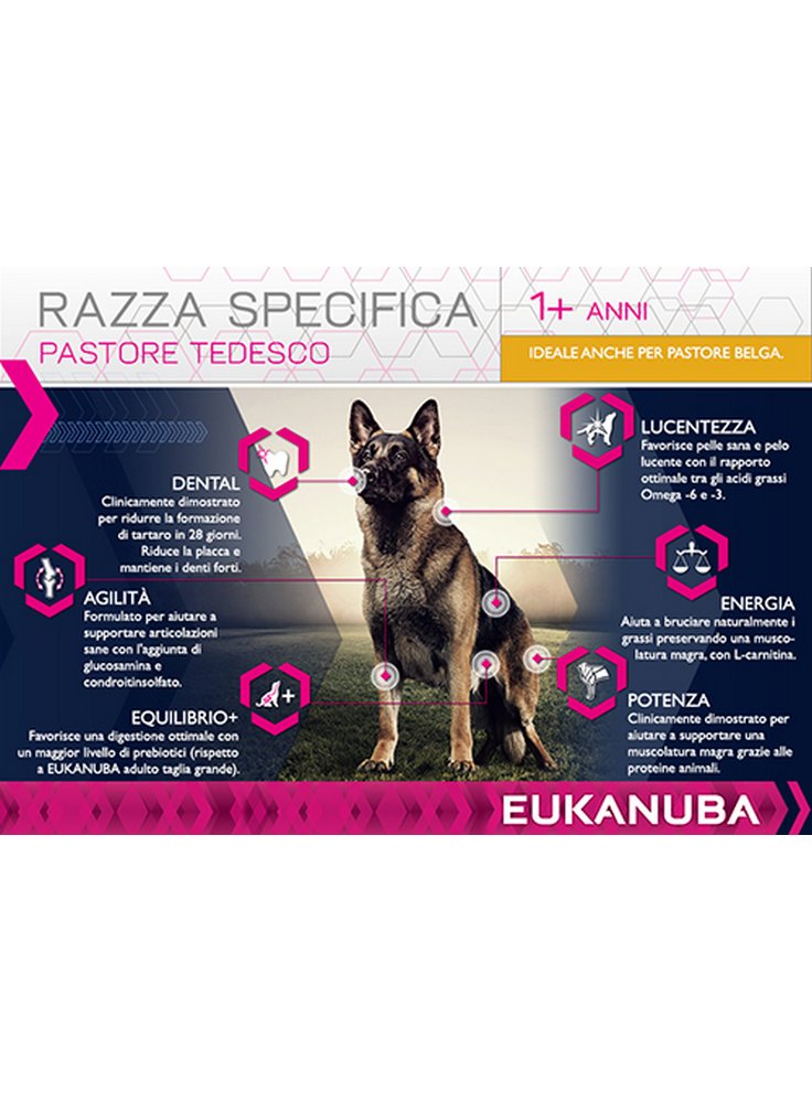 Eukanuba pastore tedesco 