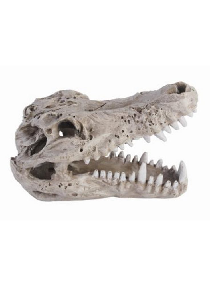 Decorazione Acquari CROCODILE Skull [Haquoss]