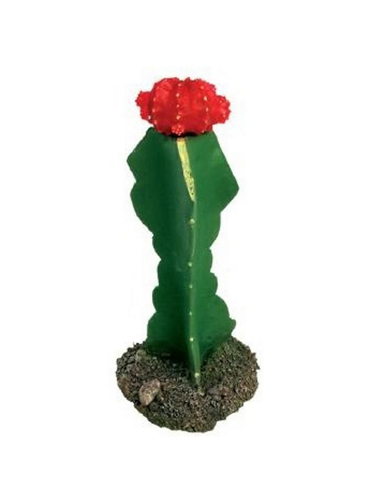 Haquoss decorazione cactus 1