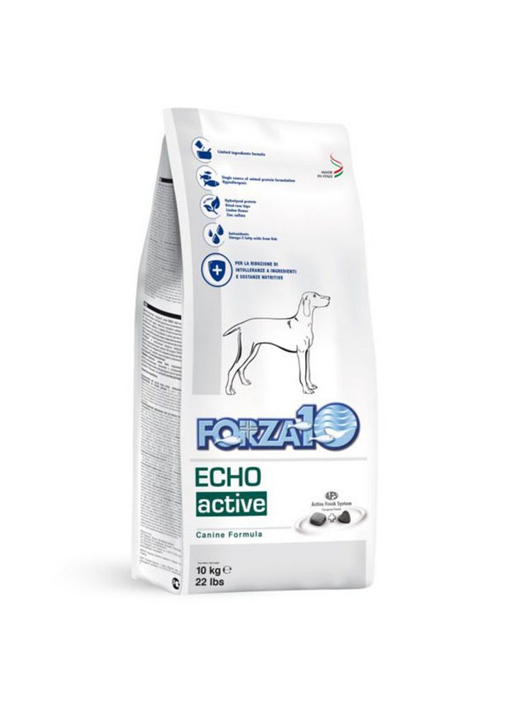 Echo-Active-Forza-10