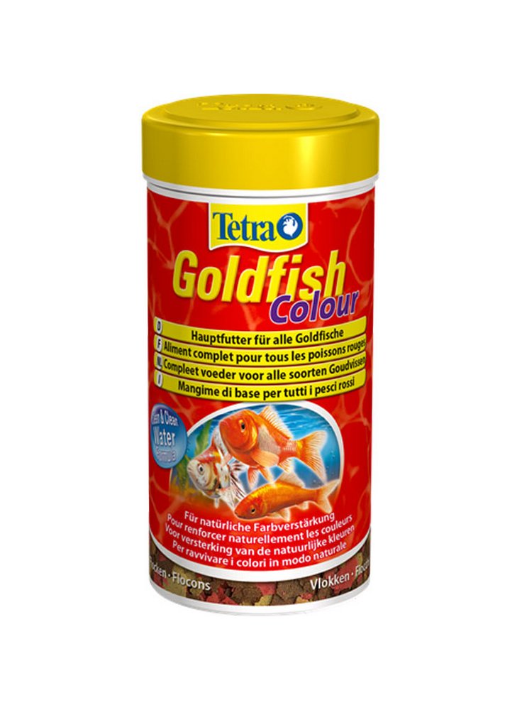 Tetra goldfish colour mangime pesci rossi colorazione
