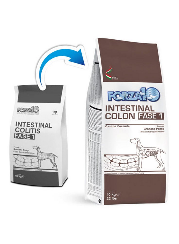 Forza 10 Intestinal Colon (intestinal colitis) Fase 1 per cani