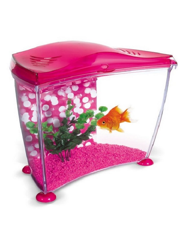 Marina%20goldfish%20rosa