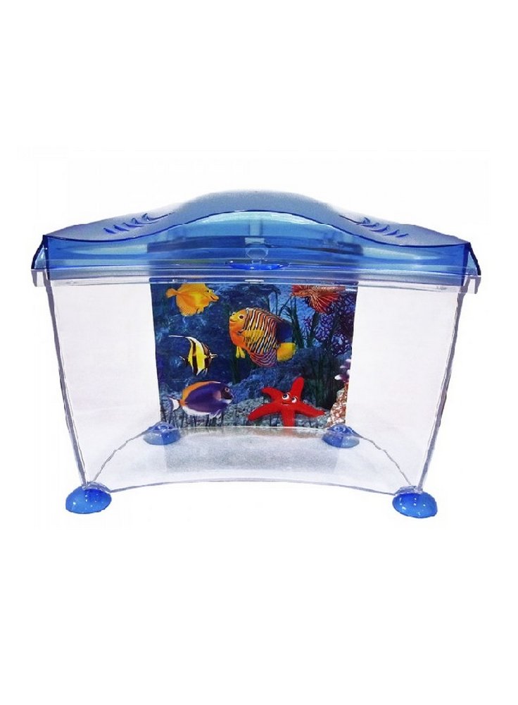 Acquario marina goldfish blu e rosa