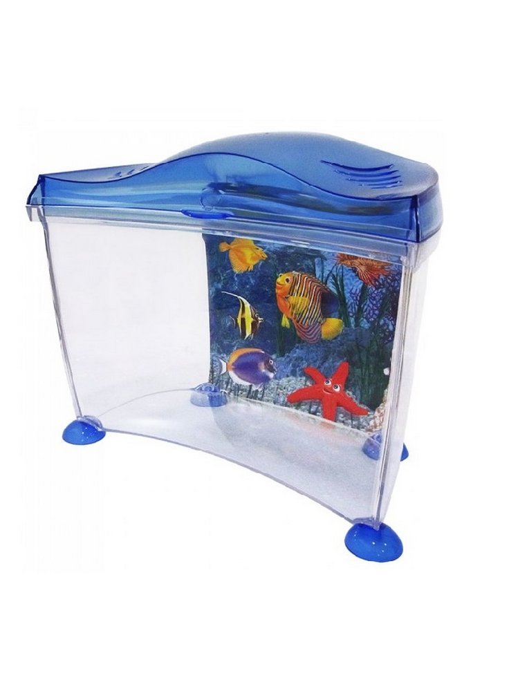 Marina%20goldfish1