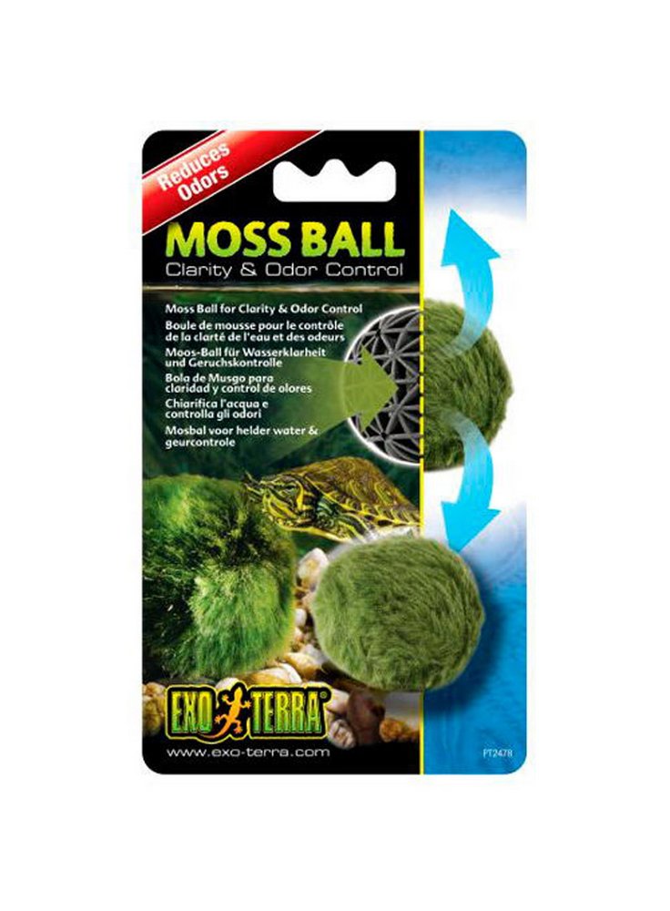 Exo terra moss ball chiarifica e controlla gli odori nel terrario