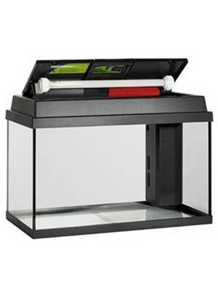Rekord_600