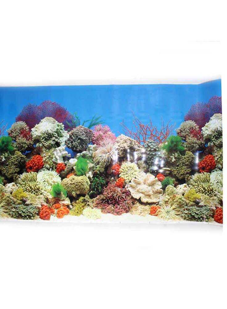 Sfondo per acquario coralli SAD 2
