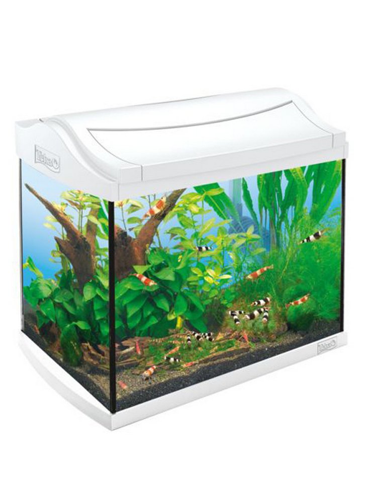 Acquario Tetra aqua art Led 20 Lt Bianco