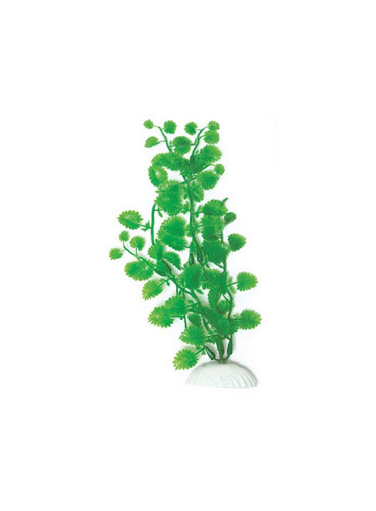 Pianta finta cardamine per acquari (20cm)