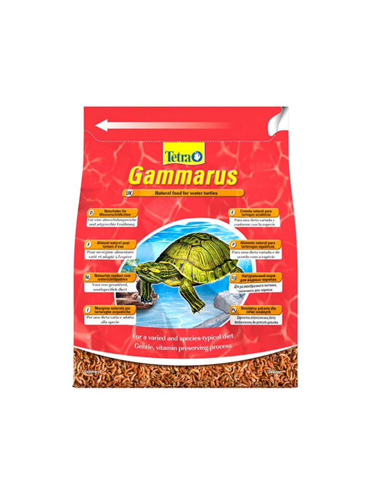 Gammarus_4L