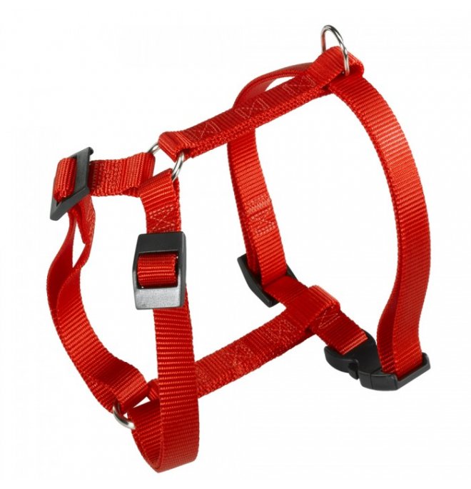 pettorina-champion-p-s-rosso