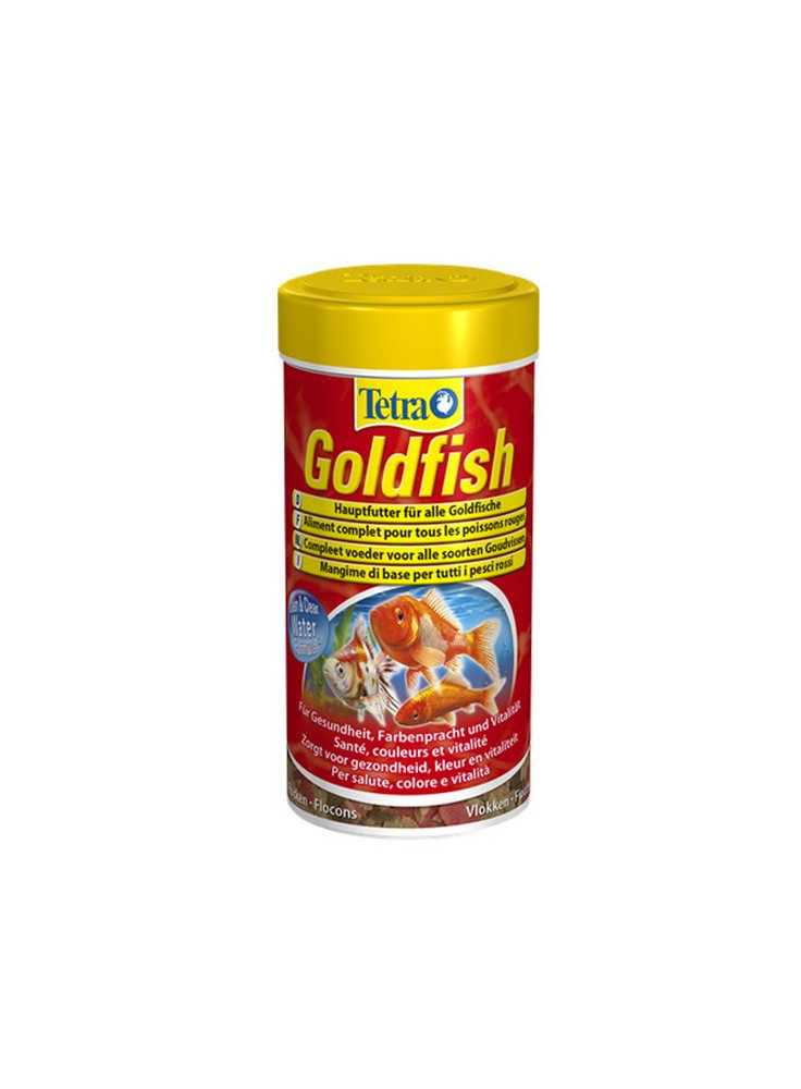 tetra_goldfish