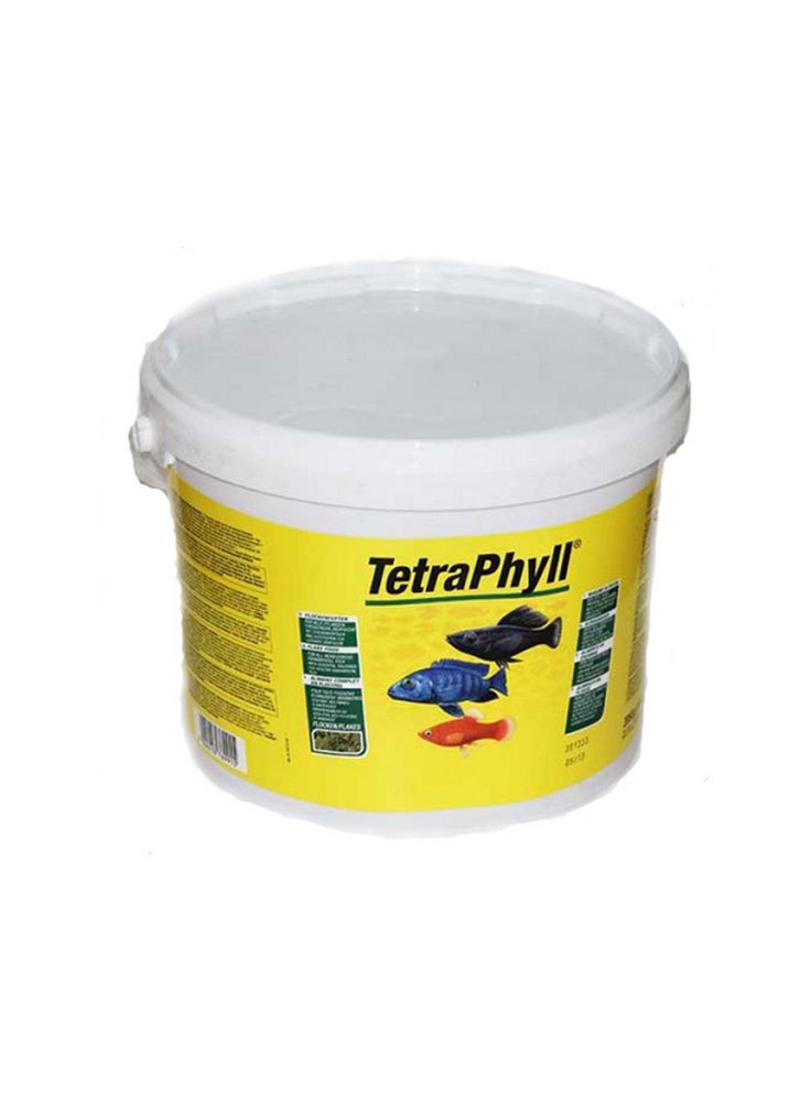 tetra_phyll_secchio