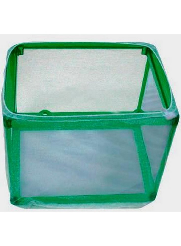 Nido box rete allevamento avanotti haquoss