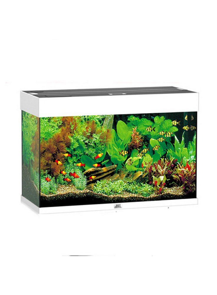 Acquario Juwel Rio 125 a Led Nero bianco darkwood + kit allestimento e manutenzione (130€ prodotti omaggio)