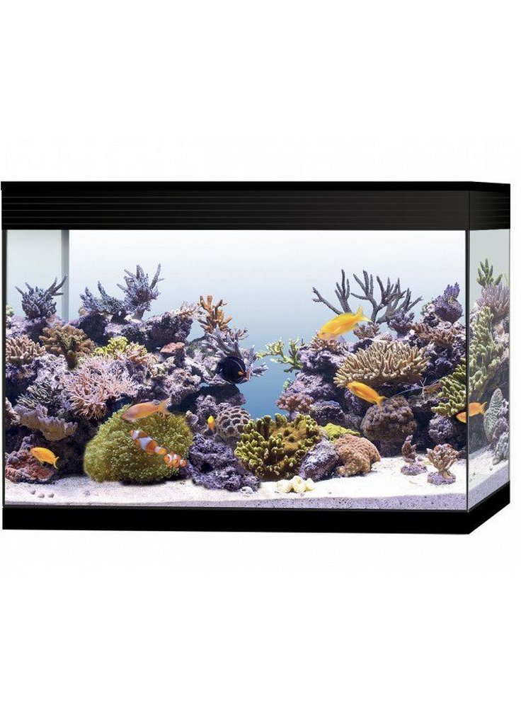 26181853_acquario-askoll-pure-xl-marine