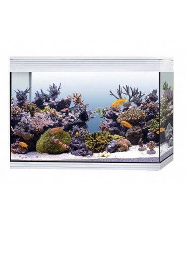 acquario-askoll-pure-xl-hc-marine-led%20%281%29