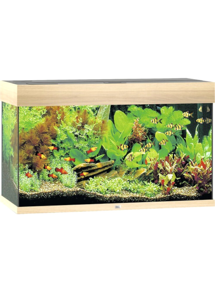 acquario-faggio