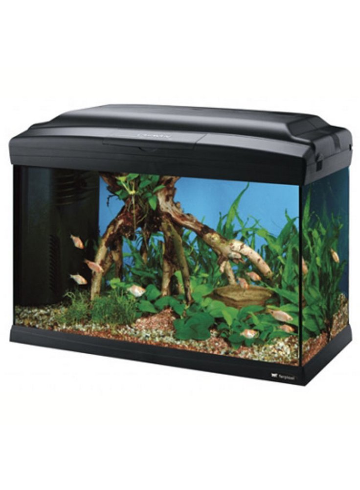 Acquario CAYMAN 50
