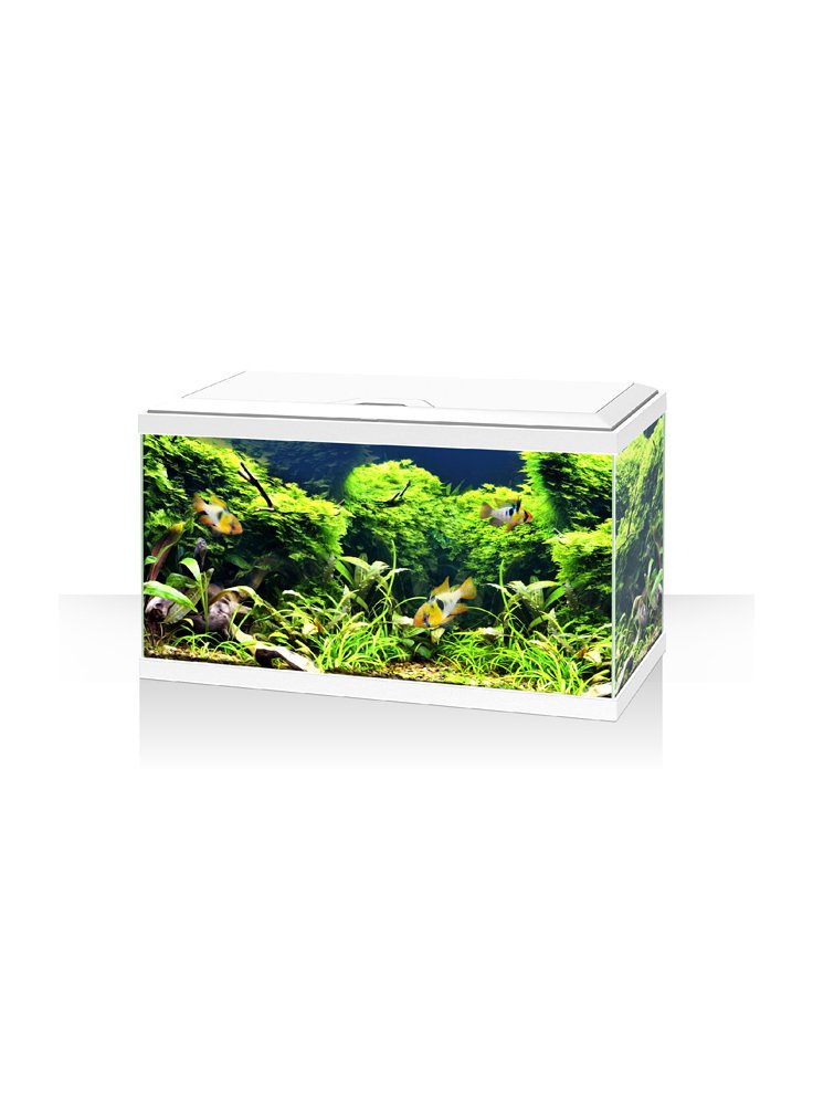 Acquario ambiente aqua 60 LED bianco o nero