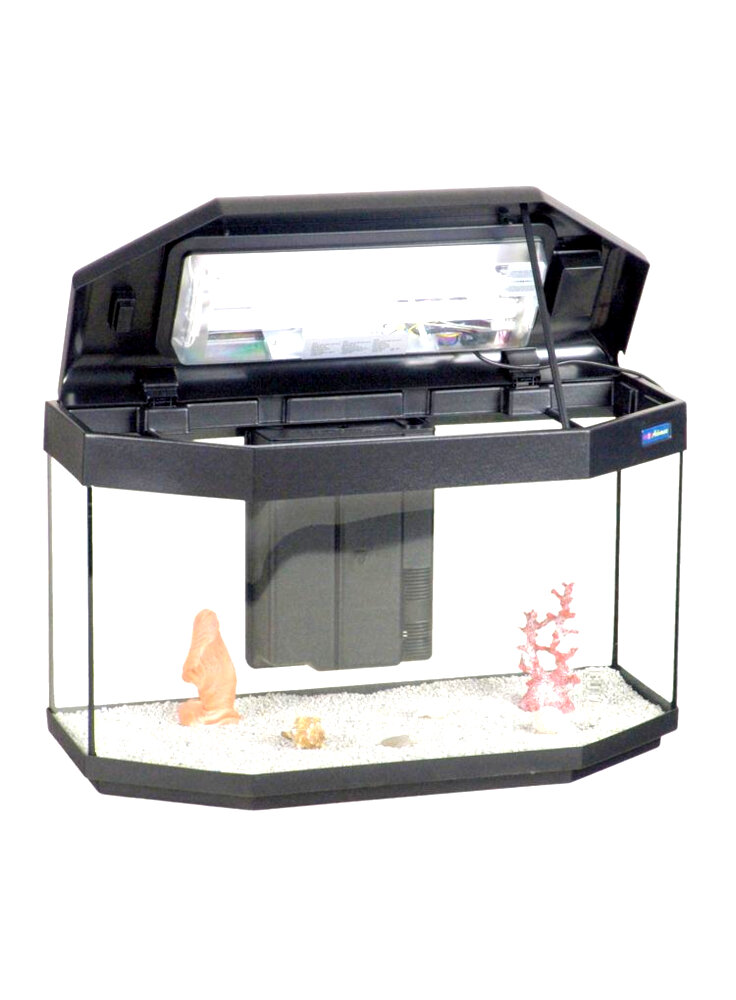 Acquario Panorama 80 x 35 elegante e classico, vetro, pratico, facile  manutenzione, Casa del Vetro da €129.00