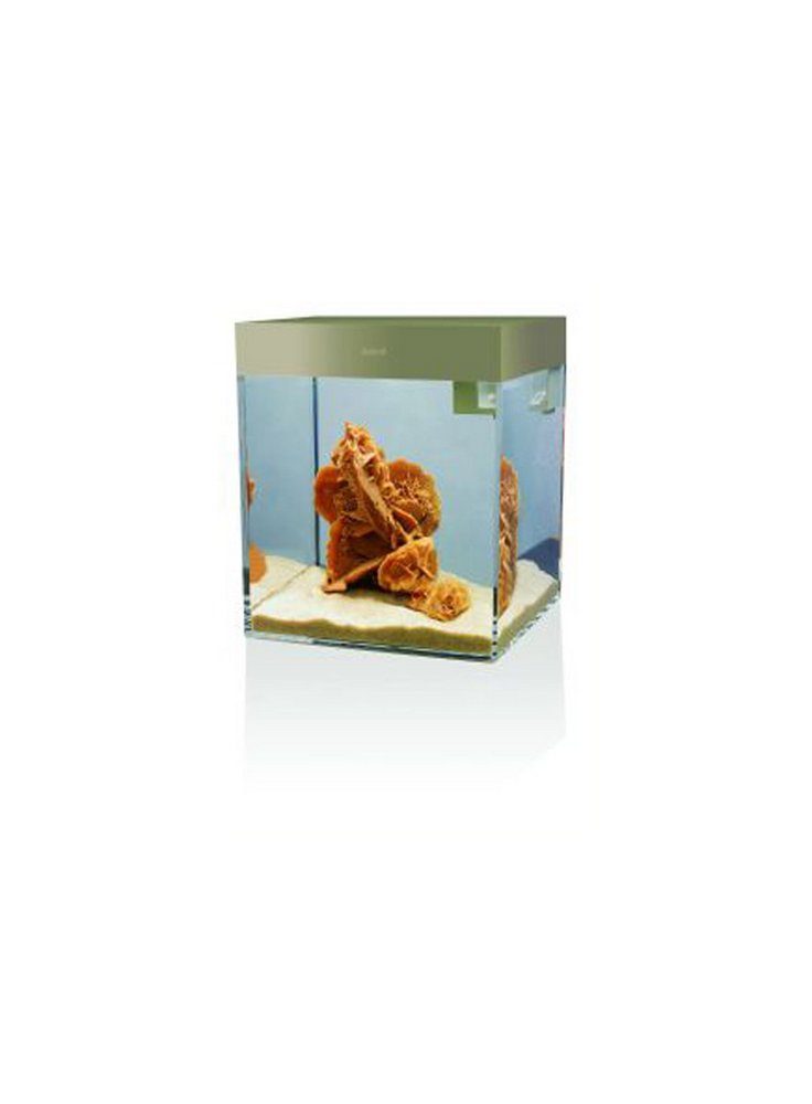 Acquario Askoll Pure S litri 13