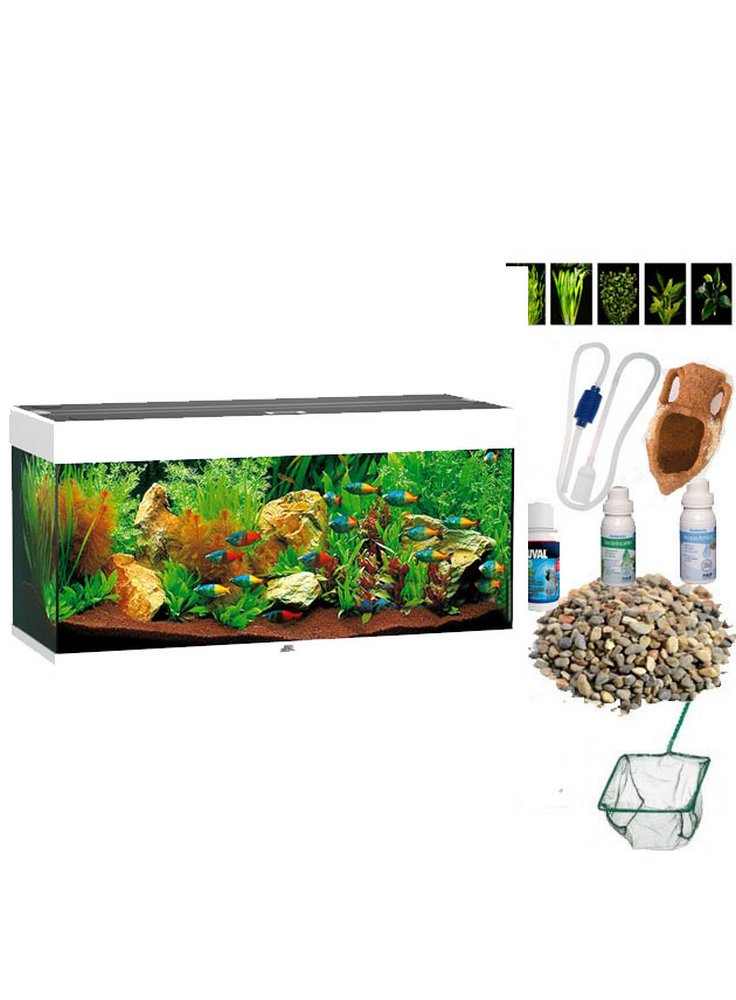 Acquario rio 240 a Led nero bianco darkwood + 180€ kit allestimento e manutenzione omaggio