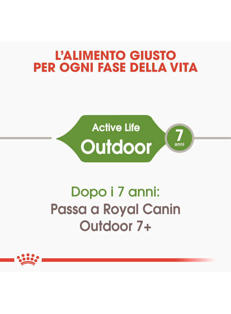 active-life-outdoor-gatto-royal-canin-1