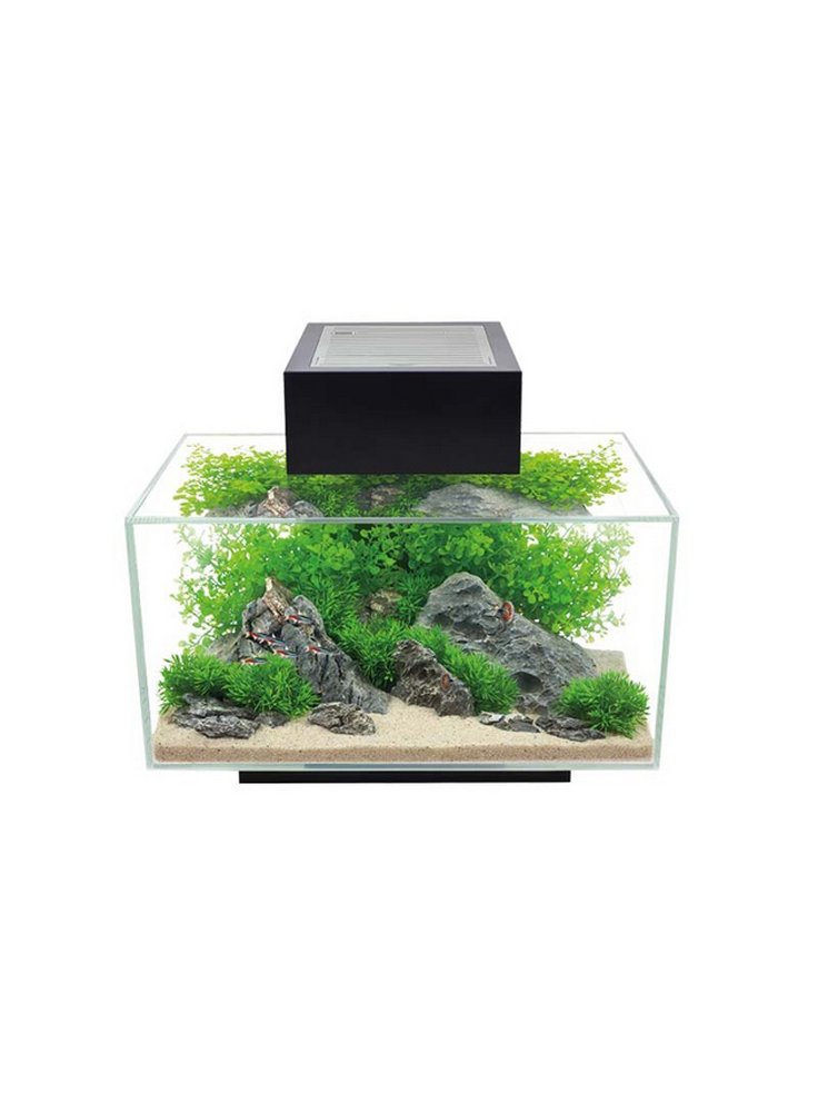 acuario_fluval_edge_20