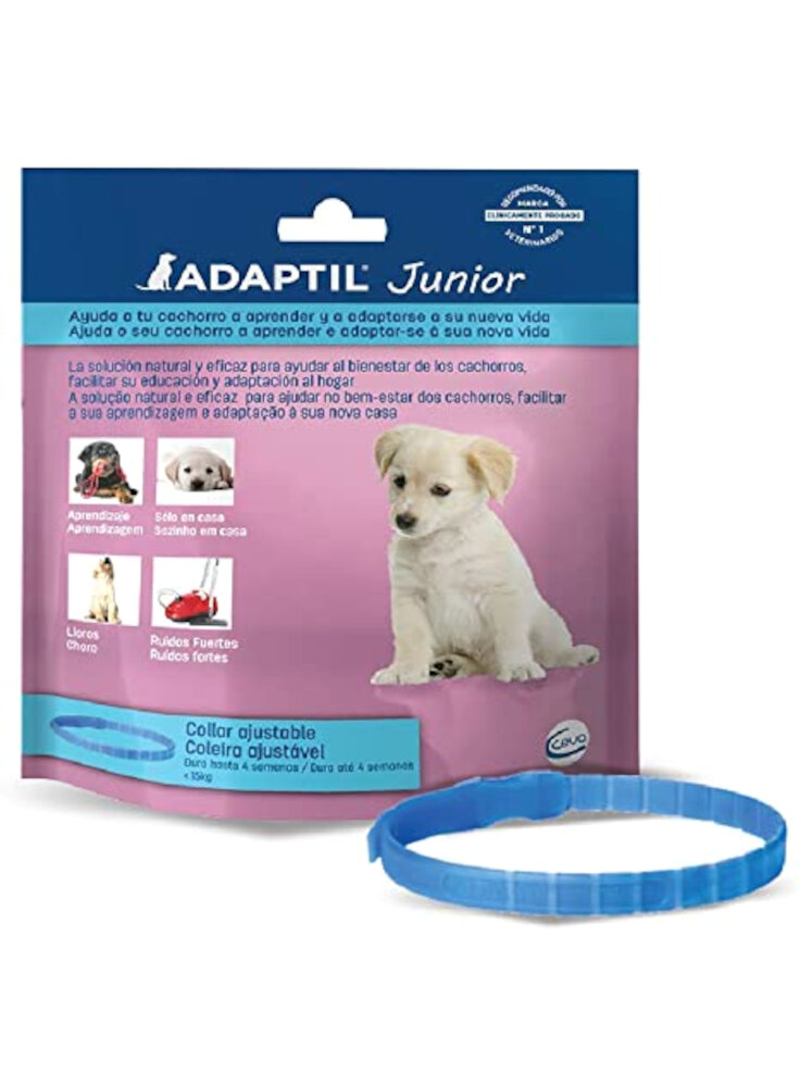 adaptil-junior-collare