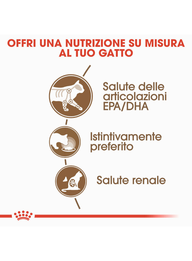 ageing-12-buste-gatto-royal-canin-12x85gr-royal-canin-1