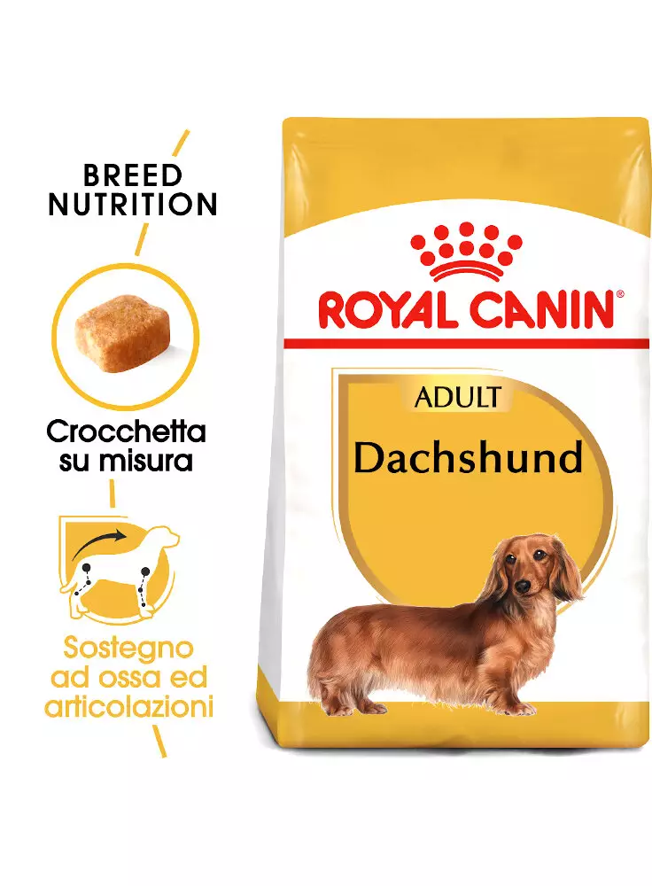 13133029_Bassotti%20DACHSHUND%20Adult%20Royal%20Canin