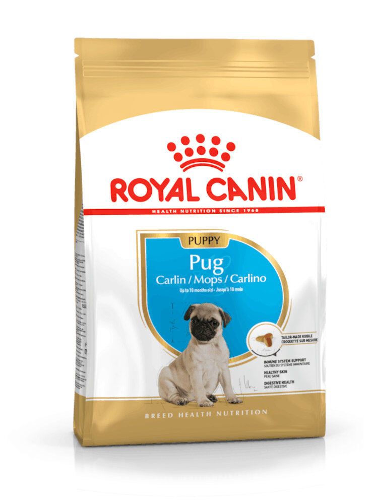 Carlino puppy Royal Canin
